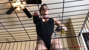 Femdom Puppy Play - Irene Discovers Her Man's Fetish Part 2 - Watch Online