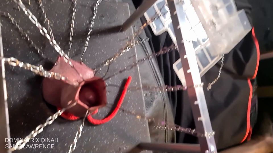 Dominatrix Dinah Personal - Extreme CBT - Hooked Cock And Balls - Watch Online