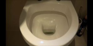 Glam Worship - Danielle - Toilet Training - Watch Online