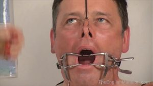 The English Mansion - Lady Nina Birch and Mistress Sidonia - A Grades Persuasion Pt1 Part 3 - Watch Online