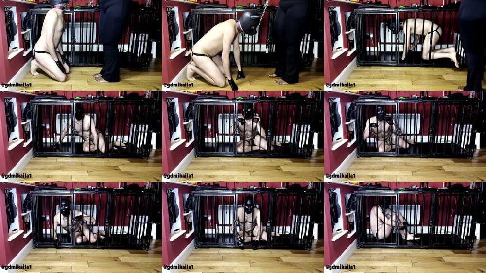 Goddess Mikaila - Bitch in a Cage