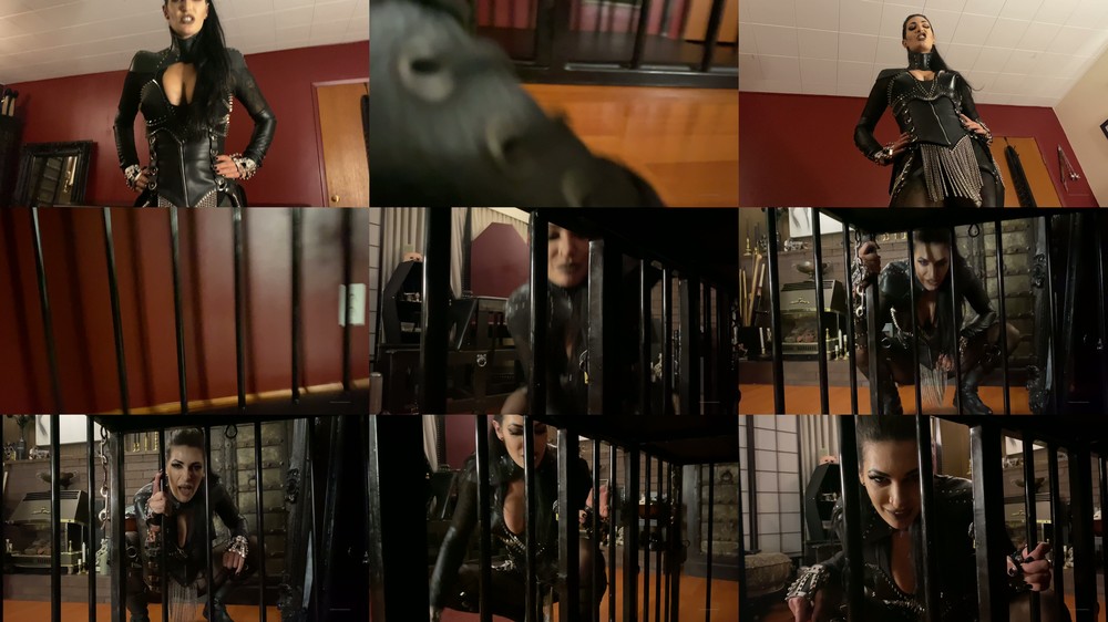 Mistress Damazonia - Cage POV