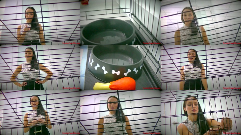 Femdom Puppy Play - Lexi Luna Prepares The For Her Big Date