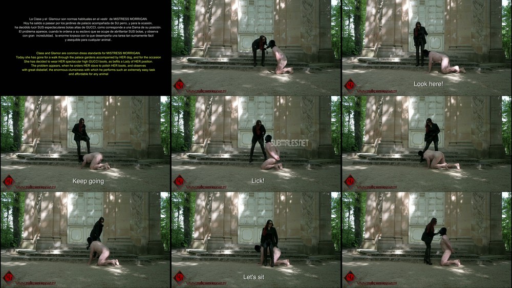 Mistress Morrigan - HUMILIATION IN THE PALACE GARDENS