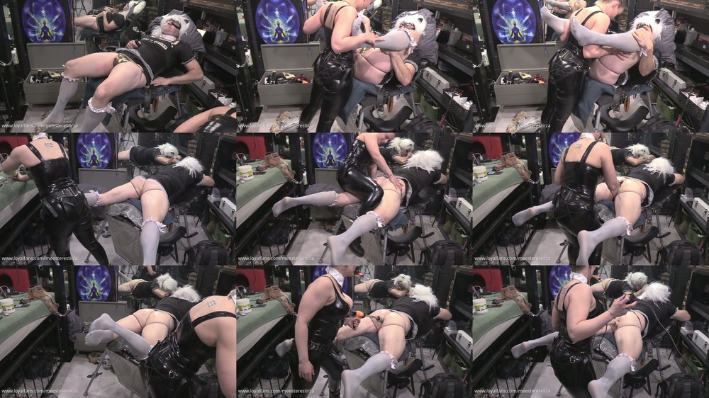 MISTRESS TIRZA NL - Anal training fucking machine dildo fucking pegging femdo