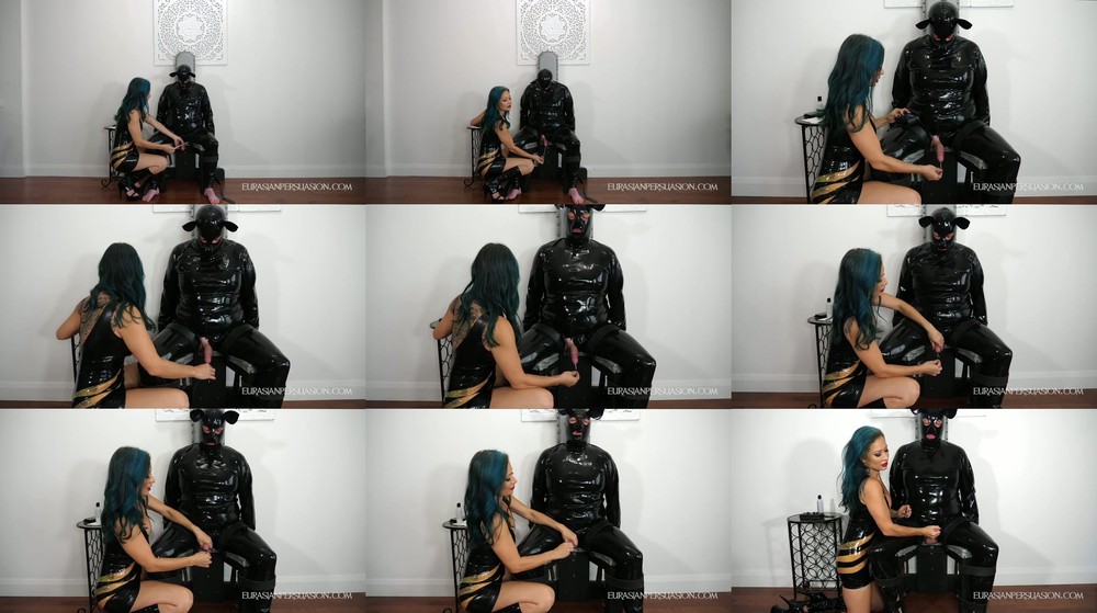 Eurasian Domina - Piggys Shocking Sound