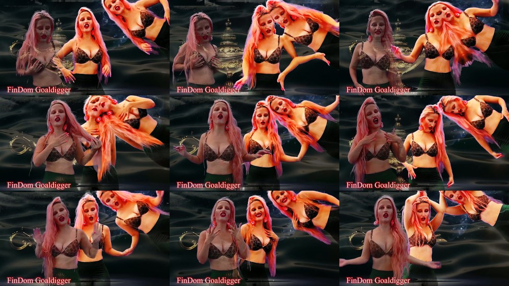 FinDom Goaldigger - Your arousal enlarging