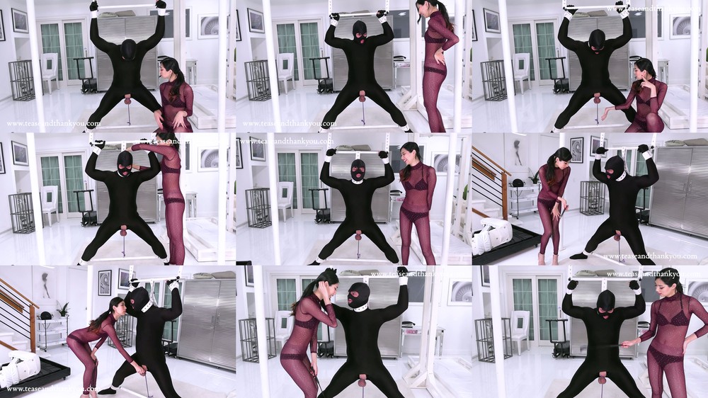 TeaseandThankYou - Sylvie - Strong Stance To Take