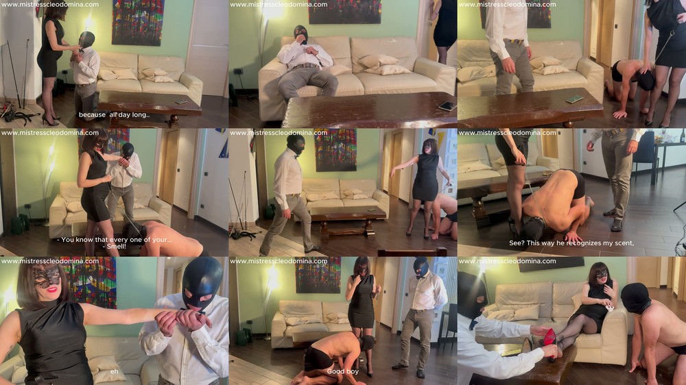 Cleo Domina - Pregnancy Cravings - Honey We're Having a Puppy