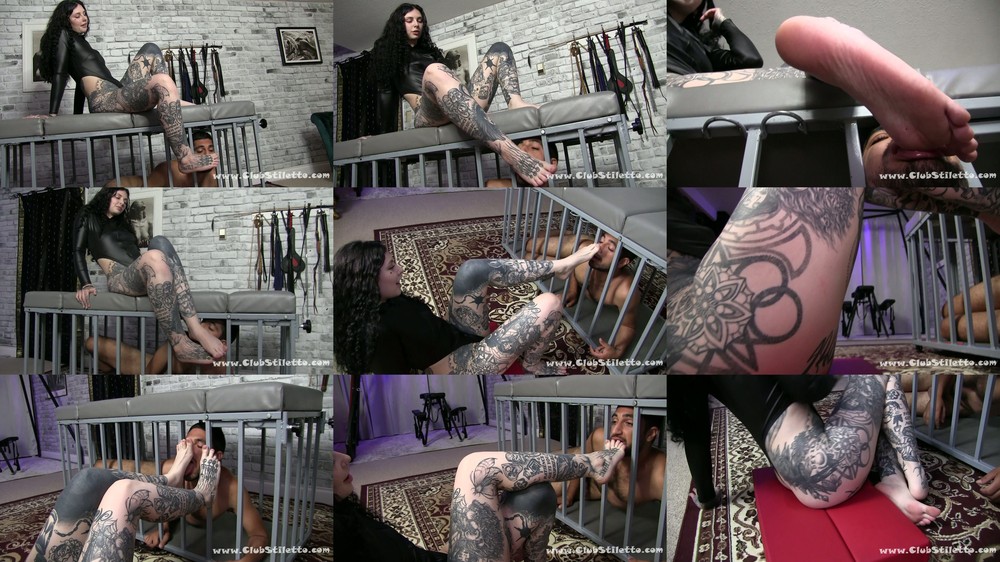 Club Stiletto - Mistress Mercy - Femdom Cold Caged And Hungry For Her Feet