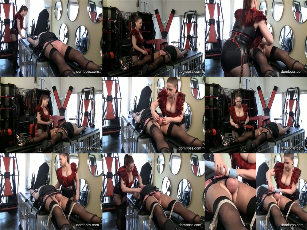 DomBoss - Dressed Stretched And Milked