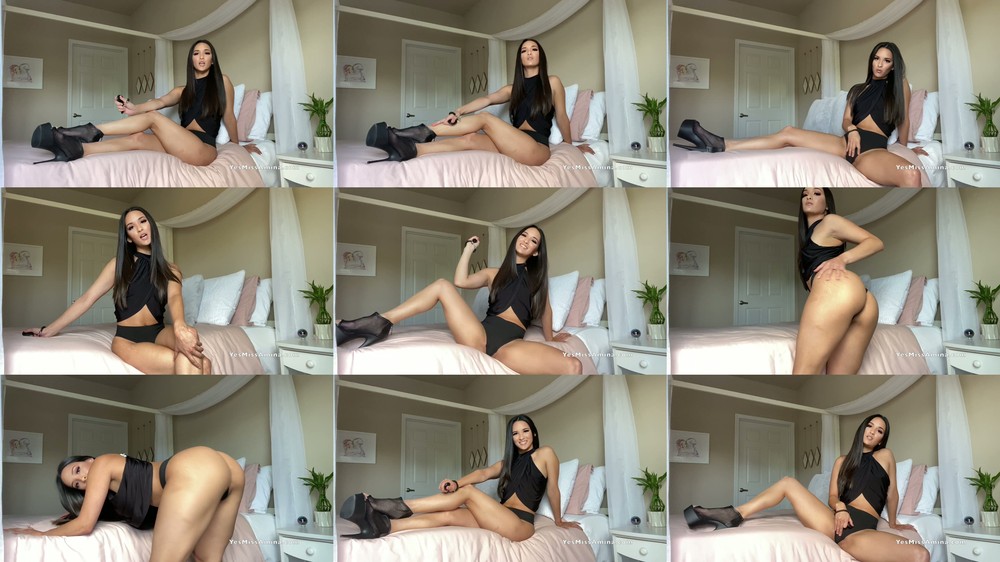 Miss Amina Rose - Amina's Pet - Conditioning Reinforcement 1