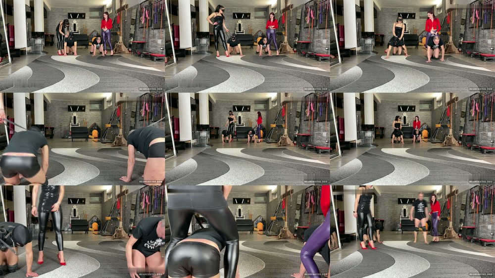 La Regina Dittatrice and Mistress Gaia - Turning My Slaves Into Horses