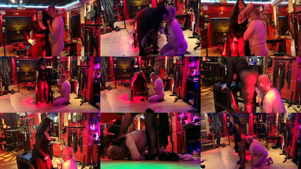 Mistress Luna - My slipper's insect part 3