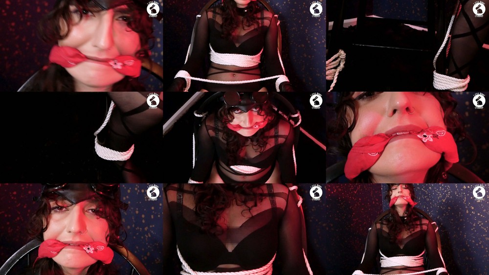 LittleBunnyB - Catwoman Bound and Vibed